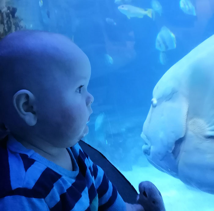 At the Aquarium (November 2018)