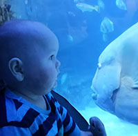 At the Aquarium (November 2018)