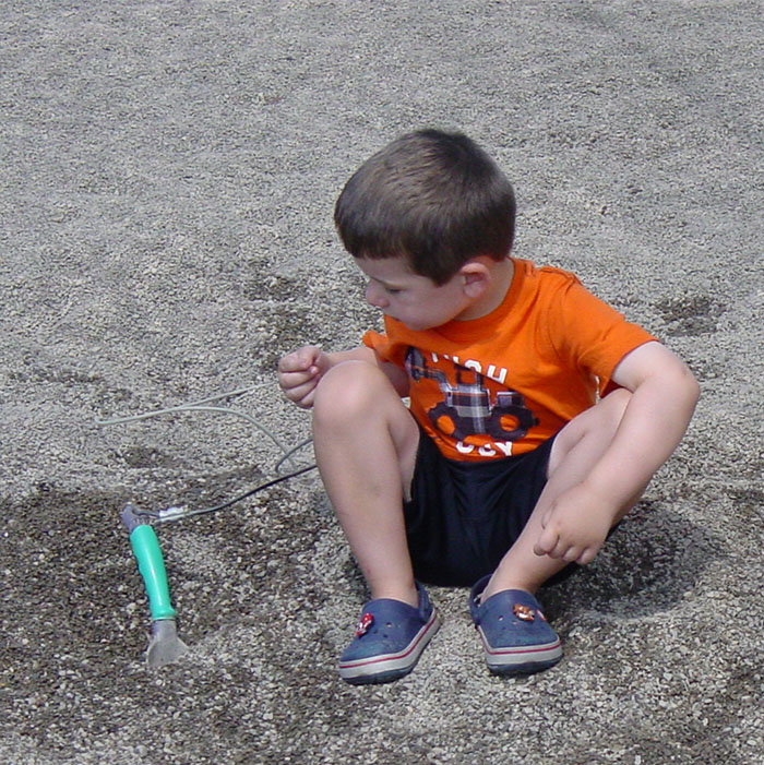 Digging for fossils